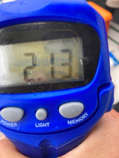 Ｖ−７ West 釣果