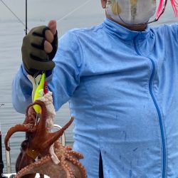 Ｖ−７ West 釣果