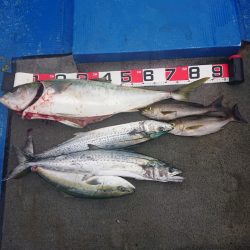 清和丸 釣果
