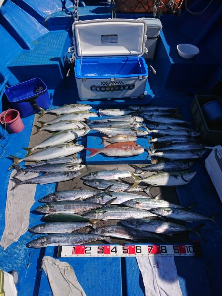 清和丸 釣果