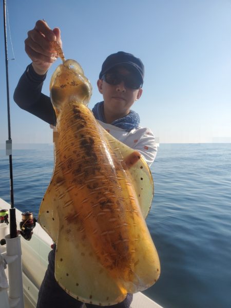 ソルトウォーターガイドフレンズ 釣果