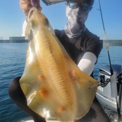 ソルトウォーターガイドフレンズ 釣果