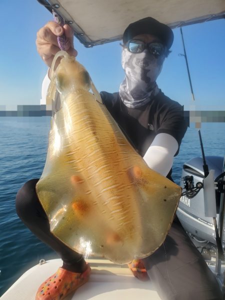 ソルトウォーターガイドフレンズ 釣果