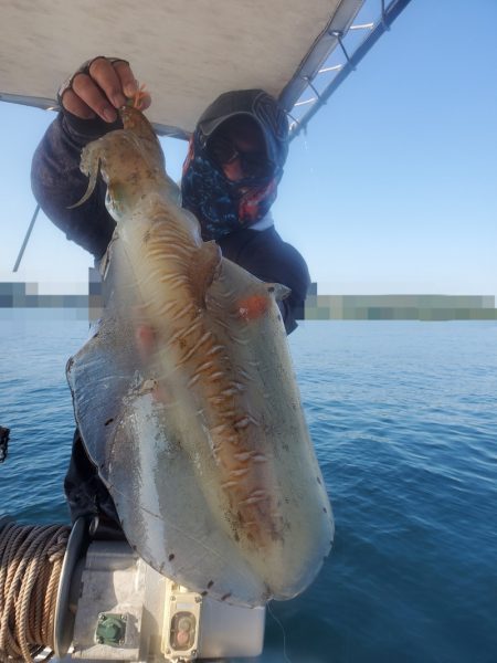 ソルトウォーターガイドフレンズ 釣果