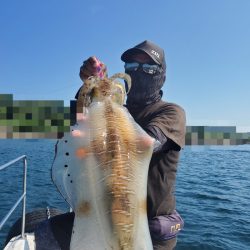 ソルトウォーターガイドフレンズ 釣果