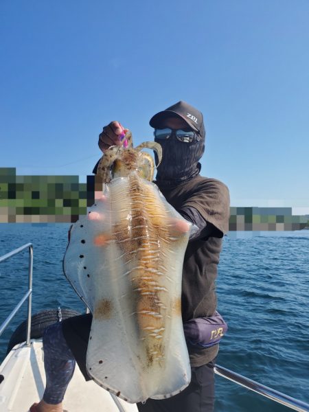 ソルトウォーターガイドフレンズ 釣果