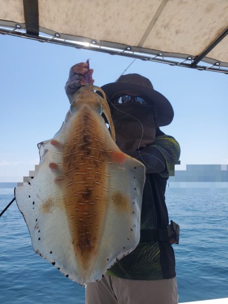 ソルトウォーターガイドフレンズ 釣果