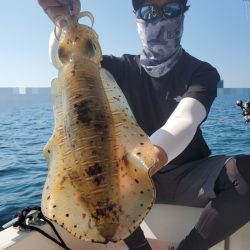 ソルトウォーターガイドフレンズ 釣果