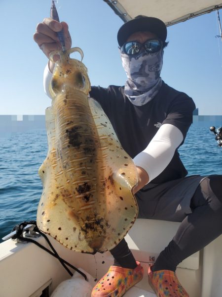 ソルトウォーターガイドフレンズ 釣果