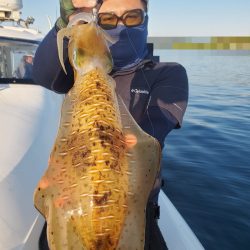 ソルトウォーターガイドフレンズ 釣果