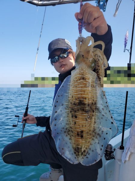 ソルトウォーターガイドフレンズ 釣果