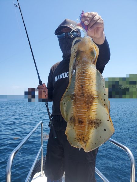 ソルトウォーターガイドフレンズ 釣果