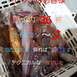 シーライオン 釣果