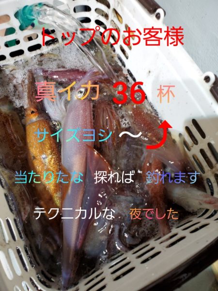 シーライオン 釣果