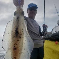 ソルトウォーターガイドフレンズ 釣果