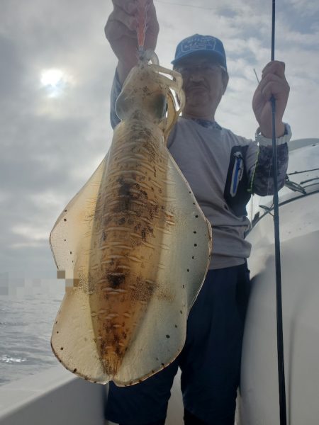 ソルトウォーターガイドフレンズ 釣果