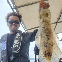 ソルトウォーターガイドフレンズ 釣果