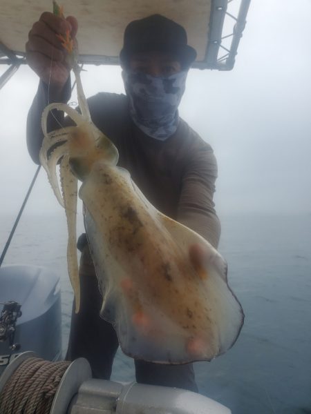 ソルトウォーターガイドフレンズ 釣果