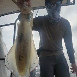 ソルトウォーターガイドフレンズ 釣果