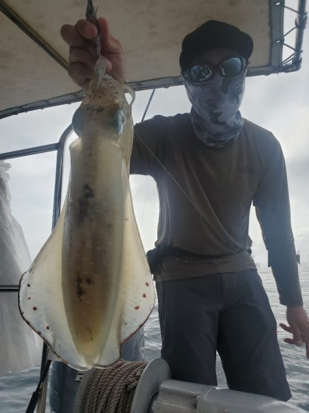 ソルトウォーターガイドフレンズ 釣果