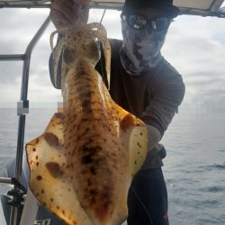 ソルトウォーターガイドフレンズ 釣果