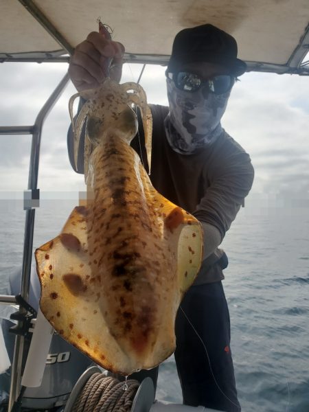 ソルトウォーターガイドフレンズ 釣果