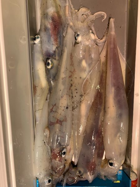 海龍丸（石川） 釣果