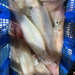 海龍丸（石川） 釣果