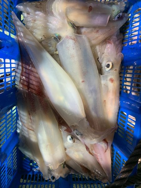 海龍丸（石川） 釣果