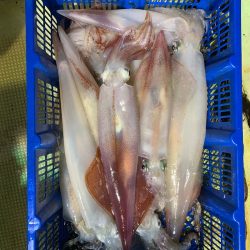 海龍丸（石川） 釣果