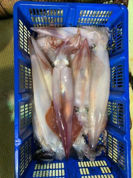 海龍丸（石川） 釣果