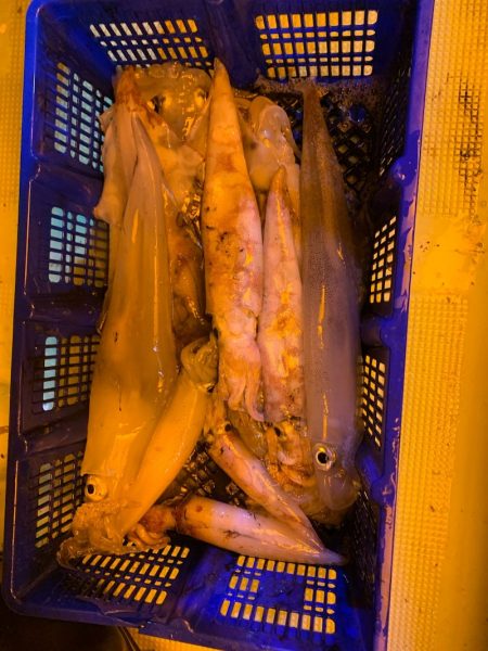 海龍丸（石川） 釣果