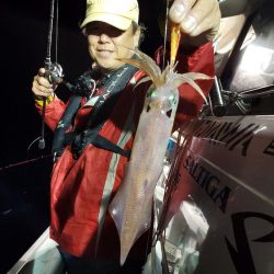 シーライオン 釣果