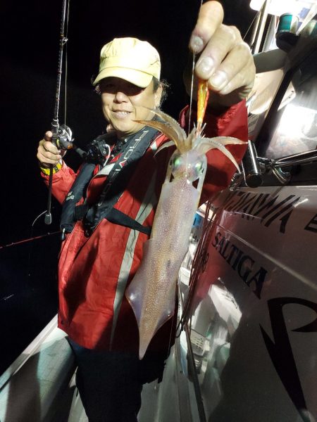 シーライオン 釣果