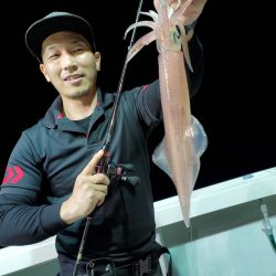 シーライオン 釣果