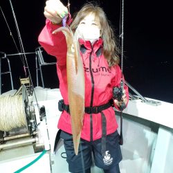 シーライオン 釣果