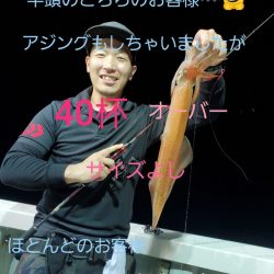 シーライオン 釣果