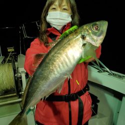 シーライオン 釣果