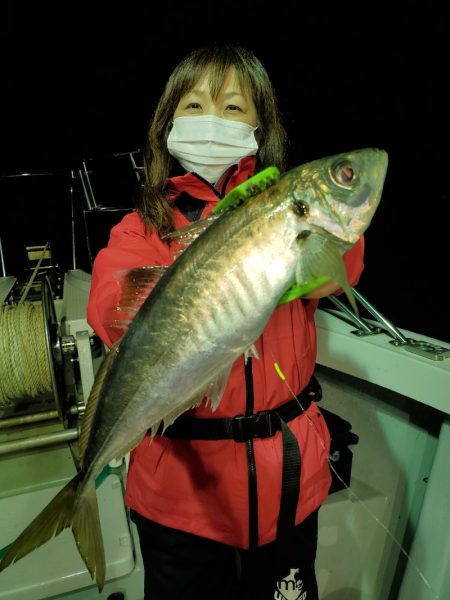 シーライオン 釣果