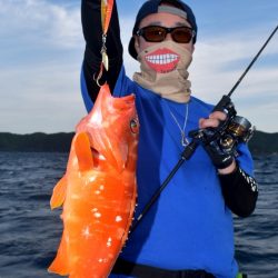 渡船屋たにぐち 釣果