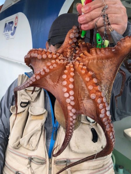 ヤザワ渡船 釣果