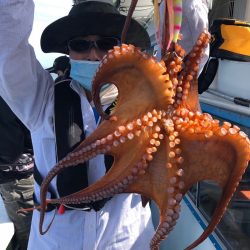 ヤザワ渡船 釣果