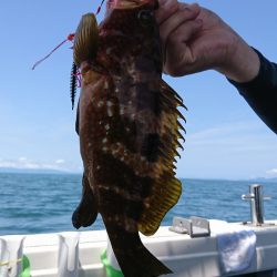 遊漁船 家入 釣果