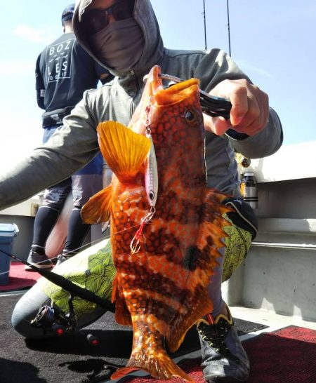 光生丸 釣果