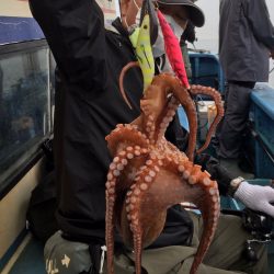 ヤザワ渡船 釣果