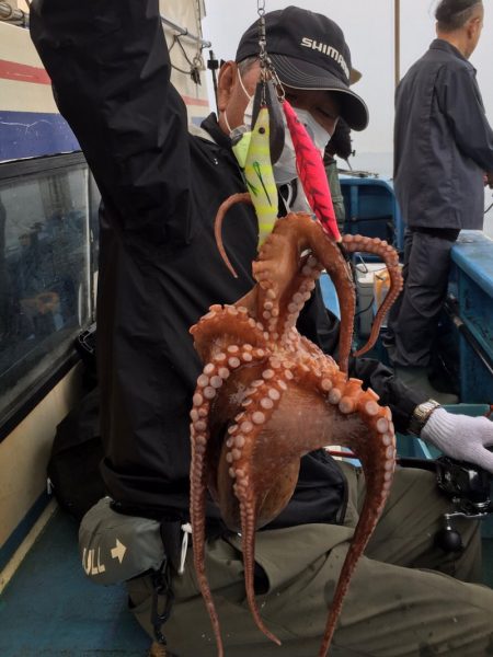 ヤザワ渡船 釣果