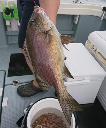 遊漁船 家入 釣果