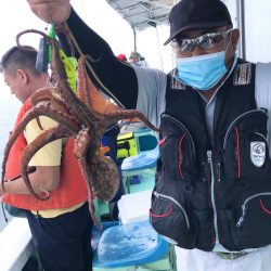 ヤザワ渡船 釣果