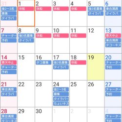 遊漁船 家入 釣果