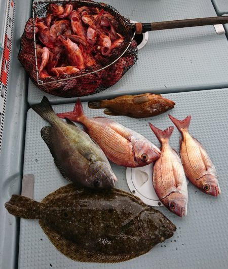遊漁船 家入 釣果